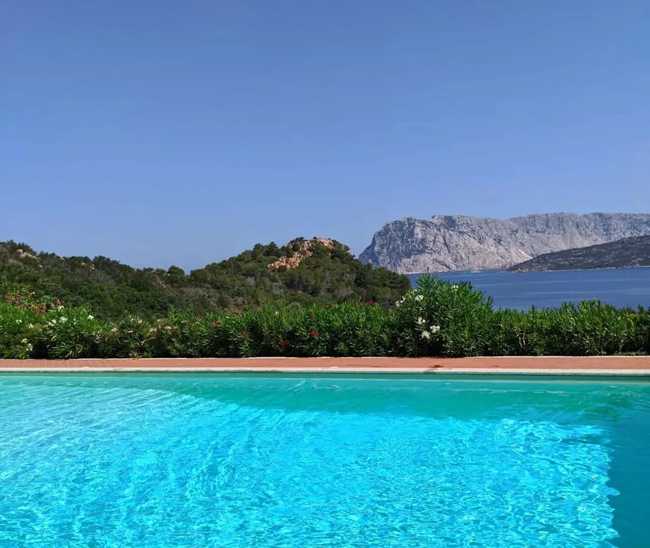 Punta Est Quadrilocale Vista Mare Lägenhet Capo Coda Cavallo Italien