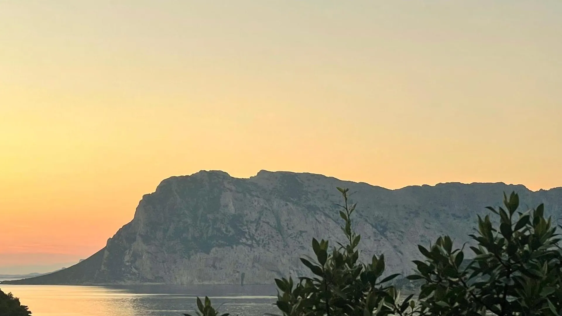 Punta Est Quadrilocale Vista Mare Apartment Capo Coda Cavallo